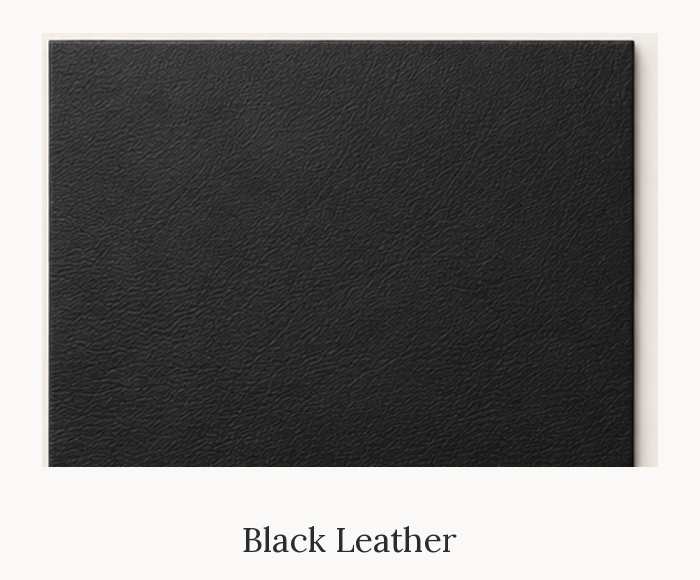 Black Leather swatch, Whitman Innovations
